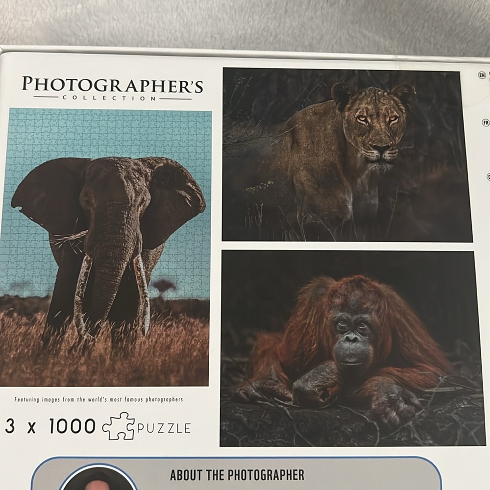 New In Box! Wild Animal puzzles - Picture 6 of 7